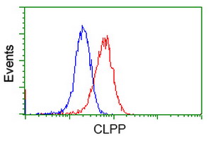 CLPP Antibody - Flow cytometry of Jurkat cells, using anti-CLPP antibody, (Red), compared to a nonspecific negative control antibody, (Blue).