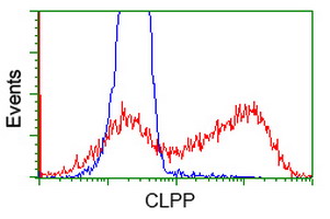 CLPP Antibody - HEK293T cells transfected with either overexpress plasmid (Red) or empty vector control plasmid (Blue) were immunostained by anti-CLPP antibody, and then analyzed by flow cytometry.