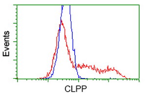 CLPP Antibody - HEK293T cells transfected with either overexpress plasmid (Red) or empty vector control plasmid (Blue) were immunostained by anti-CLPP antibody, and then analyzed by flow cytometry.