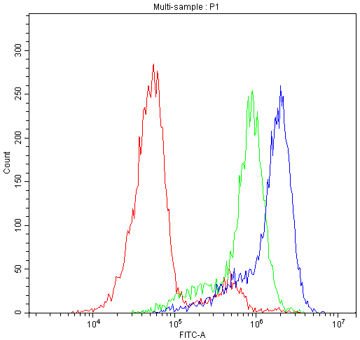 CLPX Antibody - Flow Cytometry analysis of Hela cells using anti-CLPX antibody. Overlay histogram showing Hela cells stained with anti-CLPX antibody (Blue line). The cells were blocked with 10% normal goat serum. And then incubated with rabbit anti-CLPX Antibody (1µg/10E6 cells) for 30 min at 20°C. DyLight®488 conjugated goat anti-rabbit IgG (5-10µg/10E6 cells) was used as secondary antibody for 30 minutes at 20°C. Isotype control antibody (Green line) was rabbit IgG (1µg/10E6 cells) used under the same conditions. Unlabelled sample (Red line) was also used as a control.