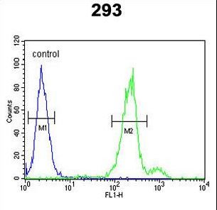 CLRN3 Antibody - CLRN3 Antibody flow cytometry of 293 cells (right histogram) compared to a negative control cell (left histogram). FITC-conjugated goat-anti-rabbit secondary antibodies were used for the analysis.