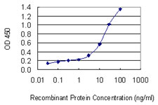 CLTA / LCA Antibody - Detection limit for recombinant GST tagged CLTA is 0.03 ng/ml as a capture antibody.