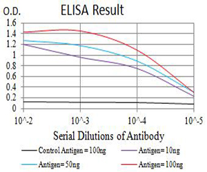 CML / BCR Antibody - Black line: Control Antigen (100 ng);Purple line: Antigen (10ng); Blue line: Antigen (50 ng); Red line:Antigen (100 ng)