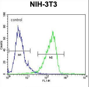 CNN3 Antibody - Calponin-3 Antibody flow cytometry of NIH-3T3 cells (right histogram) compared to a negative control cell (left histogram). FITC-conjugated goat-anti-rabbit secondary antibodies were used for the analysis.