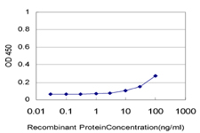 CNO Antibody - Detection limit for recombinant GST tagged CNO is approximately 10 ng/ml as a capture antibody.