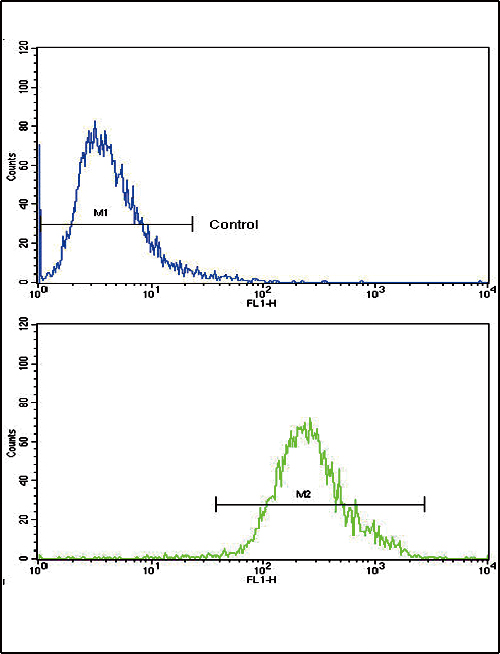 CNOT8 Antibody - Flow cytometric of CEM cells using CNOT8 Antibody (bottom histogram) compared to a negative control cell (top histogram). FITC-conjugated goat-anti-rabbit secondary antibodies were used for the analysis.