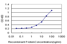CNR1 / CB1 Antibody - Detection limit for recombinant GST tagged CNR1 is approximately 0.1 ng/ml as a capture antibody.