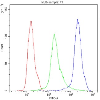 CNR1 / CB1 Antibody - Flow Cytometry analysis of Hela cells using anti-CNR1 antibody. Overlay histogram showing Hela cells stained with anti-CNR1 antibody (Blue line). The cells were blocked with 10% normal goat serum. And then incubated with rabbit anti-CNR1 Antibody (1µg/10E6 cells) for 30 min at 20°C. DyLight®488 conjugated goat anti-rabbit IgG (5-10µg/10E6 cells) was used as secondary antibody for 30 minutes at 20°C. Isotype control antibody (Green line) was rabbit IgG (1µg/1x106) used under the same conditions. Unlabelled sample (Red line) was also used as a control.