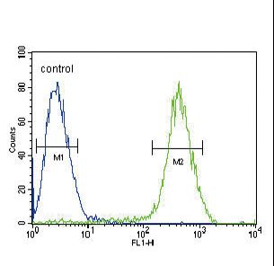 CNR2 / CB2 Antibody - CB2 Antibody flow cytometry of Jurkat cells (right histogram) compared to a negative control cell (left histogram). FITC-conjugated goat-anti-rabbit secondary antibodies were used for the analysis.
