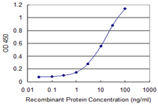 COL14A1 / Collagen XIV Antibody - Detection limit for recombinant GST tagged COL14A1 is 0.3 ng/ml as a capture antibody.
