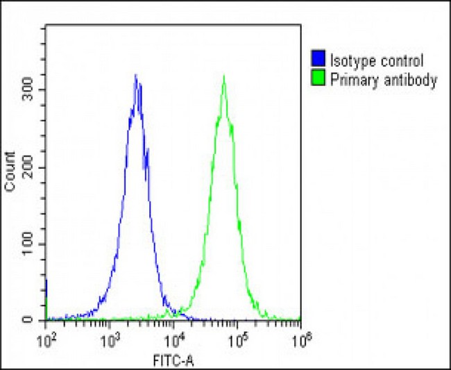 COL14A1 / Collagen XIV Antibody - Overlay histogram showing Hela cells stained with COL14A1 Antibody (Center) (green line). The cells were fixed with 2% paraformaldehyde (10 min) and then permeabilized with 90% methanol for 10 min. The cells were then icubated in 2% bovine serum albumin to block non-specific protein-protein interactions followed by the antibody (COL14A1 Antibody (Center), 1:25 dilution) for 60 min at 37°C. The secondary antibody used was Goat-Anti-Rabbit IgG, DyLight® 488 Conjugated Highly Cross-Adsorbed (OE188374) at 1/200 dilution for 40 min at 37°C. Isotype control antibody (blue line) was rabbit IgG1 (1µg/1x10^6 cells) used under the same conditions. Acquisition of >10, 000 events was performed.