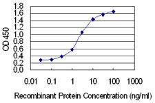 COL5A2 / Collagen V Alpha 2 Antibody - Detection limit for recombinant GST tagged COL5A2 is 0.03 ng/ml as a capture antibody.