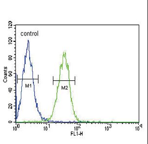 COMP / THBS5 Antibody - COMP Antibody flow cytometry of Jurkat cells (right histogram) compared to a negative control cell (left histogram). FITC-conjugated goat-anti-rabbit secondary antibodies were used for the analysis.
