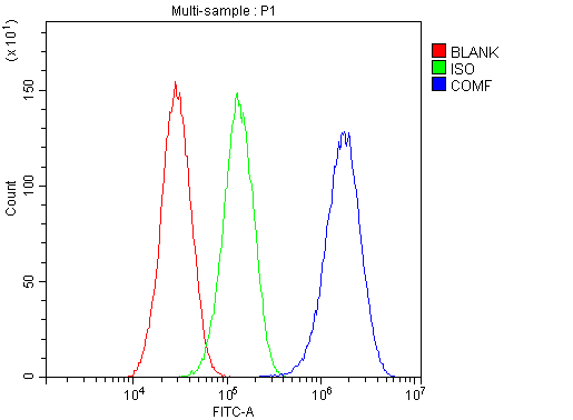 COMP / THBS5 Antibody - Flow Cytometry analysis of HepG2 cells using anti-COMP antibody. Overlay histogram showing HepG2 cells stained with anti-COMP antibody (Blue line). The cells were blocked with 10% normal goat serum. And then incubated with rabbit anti-COMP Antibody (1µg/10E6 cells) for 30 min at 20°C. DyLight®488 conjugated goat anti-rabbit IgG (5-10µg/10E6 cells) was used as secondary antibody for 30 minutes at 20°C. Isotype control antibody (Green line) was rabbit IgG (1µg/10E6 cells) used under the same conditions. Unlabelled sample (Red line) was also used as a control.