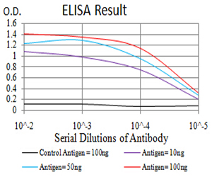 Complement C1QA Antibody - Black line: Control Antigen (100 ng);Purple line: Antigen (10ng); Blue line: Antigen (50 ng); Red line:Antigen (100 ng)