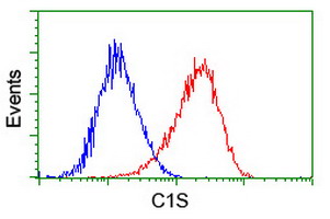 Complement C1s Antibody - Flow cytometry of HeLa cells, using anti-C1S antibody (Red), compared to a nonspecific negative control antibody (Blue).