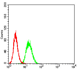 Complement C3 Antibody - Flow cytometric analysis of Hela cells using C3C mouse mAb (green) and negative control (red).