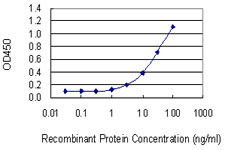 COMT Antibody - Detection limit for recombinant GST tagged COMT is 0.3 ng/ml as a capture antibody.