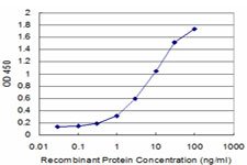 COPB1 / Beta-COP Antibody - Detection limit for recombinant GST tagged COPB is approximately 0.3 ng/ml as a capture antibody.