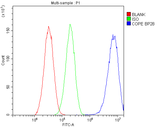 COPE Antibody - Flow Cytometry analysis of HepG2 cells using anti-COPE antibody. Overlay histogram showing HepG2 cells stained with anti-COPE antibody (Blue line). The cells were blocked with 10% normal goat serum. And then incubated with rabbit anti-COPE Antibody (1µg/10E6 cells) for 30 min at 20°C. DyLight®488 conjugated goat anti-rabbit IgG (5-10µg/10E6 cells) was used as secondary antibody for 30 minutes at 20°C. Isotype control antibody (Green line) was rabbit IgG (1µg/10E6 cells) used under the same conditions. Unlabelled sample (Red line) was also used as a control.