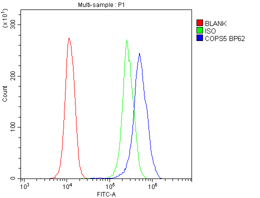 COPS5 / JAB1 Antibody - Flow Cytometry analysis of U937 cells using anti-JAB1 antibody. Overlay histogram showing U937 cells stained with anti-JAB1 antibody (Blue line). The cells were blocked with 10% normal goat serum. And then incubated with rabbit anti-JAB1 Antibody (1µg/10E6 cells) for 30 min at 20°C. DyLight®488 conjugated goat anti-rabbit IgG (5-10µg/10E6 cells) was used as secondary antibody for 30 minutes at 20°C. Isotype control antibody (Green line) was rabbit IgG (1µg/10E6 cells) used under the same conditions. Unlabelled sample (Red line) was also used as a control.