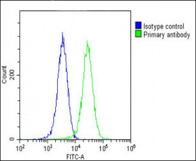 COPS7B / CSN7B Antibody - Overlay histogram showing Hela cells stained with COPS7B Antibody (N-Term) (green line). The cells were fixed with 2% paraformaldehyde (10 min) and then permeabilized with 90% methanol for 10 min. The cells were then icubated in 2% bovine serum albumin to block non-specific protein-protein interactions followed by the antibody (COPS7B Antibody (N-Term), 1:25 dilution) for 60 min at 37°C. The secondary antibody used was Goat-Anti-Rabbit IgG, DyLight® 488 Conjugated Highly Cross-Adsorbed at 1/200 dilution for 40 min at 37°C. Isotype control antibody (blue line) was rabbit IgG1 (1µg/1x10^6 cells) used under the same conditions. Acquisition of >10, 000 events was performed.