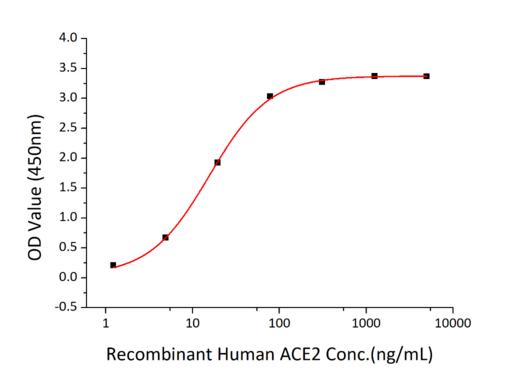 SARS-CoV-2 S1 Protein - Immobilized Recombinant 2019-nCoV Spike S1-His at 2µg/mL (100 µL/well) can bind Recombinant Human ACE2 with a linear range of 1.5-15 ng/mL.
