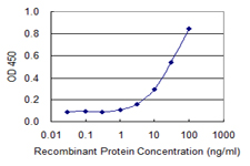 COX15 Antibody - Detection limit for recombinant GST tagged COX15 is 1 ng/ml as a capture antibody.