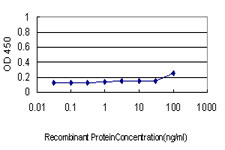 COX6C Antibody - Detection limit for recombinant GST tagged COX6C is approximately 1 ng/ml as a capture antibody.