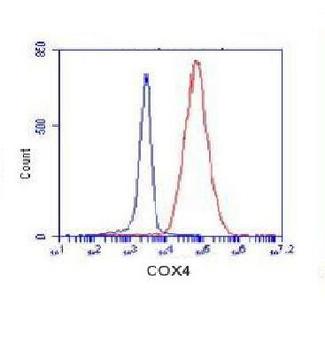 COXIV / COX4 Antibody - Flow Cytometry analysis of K562 cells stained with COX4 (red, 1/100 dilution), followed by FITC-conjugated goat anti-mouse IgG. Blue line histogram represents the isotype control, normal mouse IgG.