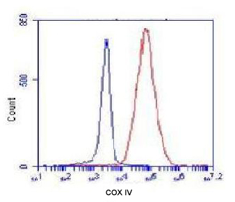 COXIV / COX4 Antibody - Flow Cytometry analysis of K562 cells stained with COX4 (red, 1:100 dilution), followed by FITC-conjugated goat anti-mouse IgG. Blue line histogram represents the isotype control, normal mouse IgG.