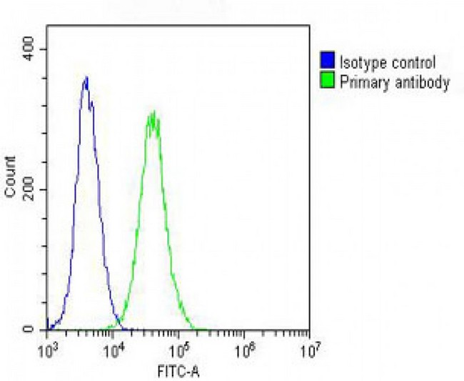 COXIV / COX4 Antibody - Overlay histogram showing NIH/3T3 cells stained with COXIV Antibody (green line). The cells were fixed with 2% paraformaldehyde (10 min) and then permeabilized with 90% methanol for 10 min. The cells were then icubated in 2% bovine serum albumin to block non-specific protein-protein interactions followed by the antibody (COXIV Antibody, 1:25 dilution) for 60 min at 37°C. The secondary antibody used was Goat-Anti-Rabbit IgG, DyLight® 488 Conjugated Highly Cross-Adsorbed at 1/200 dilution for 40 min at 37°C. Isotype control antibody (blue line) was rabbit IgG (1µg/1x10^6 cells) used under the same conditions. Acquisition of >10, 000 events was performed.