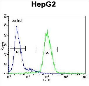 CP / Ceruloplasmin Antibody - CP Antibody flow cytometry of HepG2 cells (right histogram) compared to a negative control cell (left histogram). FITC-conjugated goat-anti-rabbit secondary antibodies were used for the analysis.