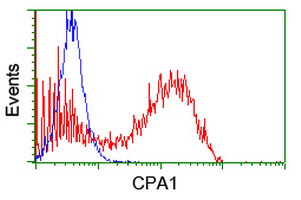 CPA1 / Carboxypeptidase A Antibody - HEK293T cells transfected with either overexpress plasmid (Red) or empty vector control plasmid (Blue) were immunostained by anti-CPA1 antibody, and then analyzed by flow cytometry.