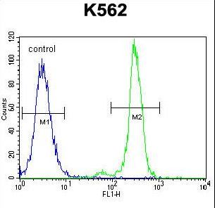 CPA3 Antibody - CPA3 Antibody flow cytometry of K562 cells (right histogram) compared to a negative control cell (left histogram). FITC-conjugated goat-anti-rabbit secondary antibodies were used for the analysis.