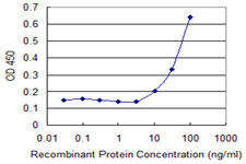CPA3 Antibody - Detection limit for recombinant GST tagged CPA3 is 3 ng/ml as a capture antibody.