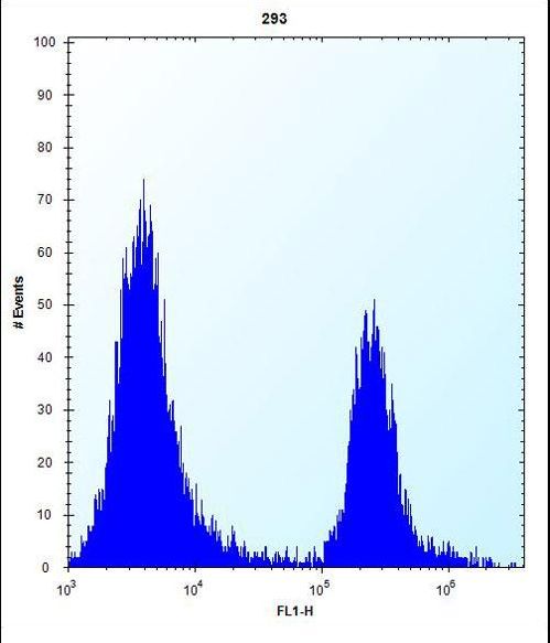 CPN1 Antibody - CPN1 Antibody flow cytometry of 293 cells (right histogram) compared to a negative control cell (left histogram). FITC-conjugated goat-anti-rabbit secondary antibodies were used for the analysis.