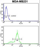 CPN2 Antibody - CPN2 Antibody flow cytometry of MDA-MB231 cells (bottom histogram) compared to a negative control cell (top histogram). FITC-conjugated goat-anti-rabbit secondary antibodies were used for the analysis.