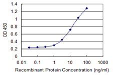 CPSF6 Antibody - Detection limit for recombinant GST tagged CPSF6 is 0.3 ng/ml as a capture antibody.