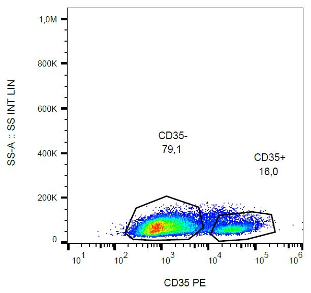 CR1 / CD35 Antibody - Surface staining of CD35 in human peripheral blood with anti-CD35 (E11) PE.