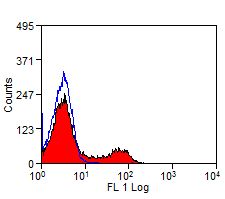 CR2 / CD21 Antibody - Flow cytometry of bovine peripheral blood lymphocytes with Mouse anti-Bovine CD21.  This image was taken for the unconjugated form of this product. Other forms have not been tested.