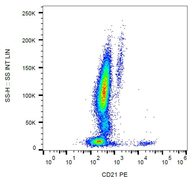 CR2 / CD21 Antibody - Surface staining of human peripheral blood leukocytes with anti-CD21 (LT21) PE.