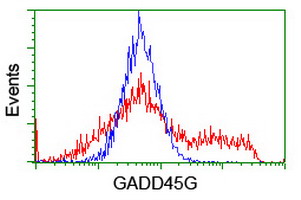 CR6 / GADD45G Antibody - HEK293T cells transfected with either overexpress plasmid (Red) or empty vector control plasmid (Blue) were immunostained by anti-GADD45G antibody, and then analyzed by flow cytometry.