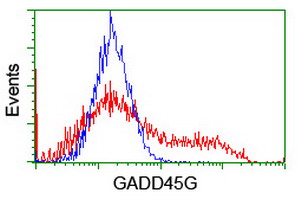 CR6 / GADD45G Antibody - HEK293T cells transfected with either overexpress plasmid (Red) or empty vector control plasmid (Blue) were immunostained by anti-GADD45G antibody, and then analyzed by flow cytometry.