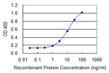 CRABP2 Antibody - Detection limit for recombinant GST tagged CRABP2 is 0.3 ng/ml as a capture antibody.
