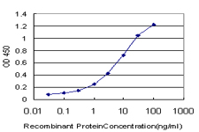 CREB5 Antibody - Detection limit for recombinant GST tagged CREB5 is approximately 0.1 ng/ml as a capture antibody.
