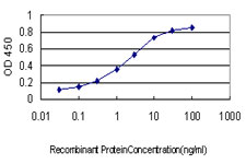 CREBBP / CREB Binding Protein Antibody - Detection limit for recombinant GST tagged CREBBP is approximately 0.03 ng/ml as a capture antibody.