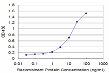 CREBL1 / ATF6B Antibody - Detection limit for recombinant GST tagged CREBL1 is approximately 1 ng/ml as a capture antibody.