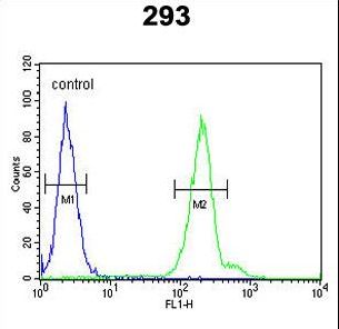 CRELD2 Antibody - CRELD2 Antibody flow cytometry of 293 cells (right histogram) compared to a negative control cell (left histogram). FITC-conjugated goat-anti-rabbit secondary antibodies were used for the analysis.