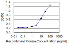 CRH / CRF Antibody - Detection limit for recombinant GST tagged CRH is 0.3 ng/ml as a capture antibody.